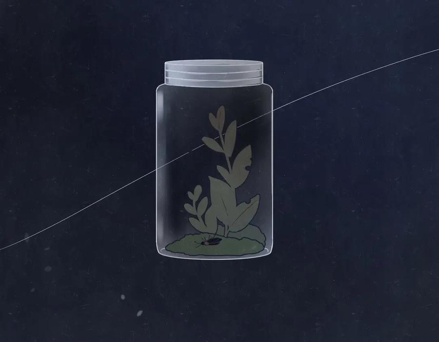 第54页