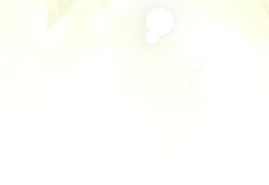 第206页