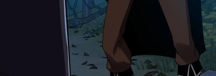 第244页