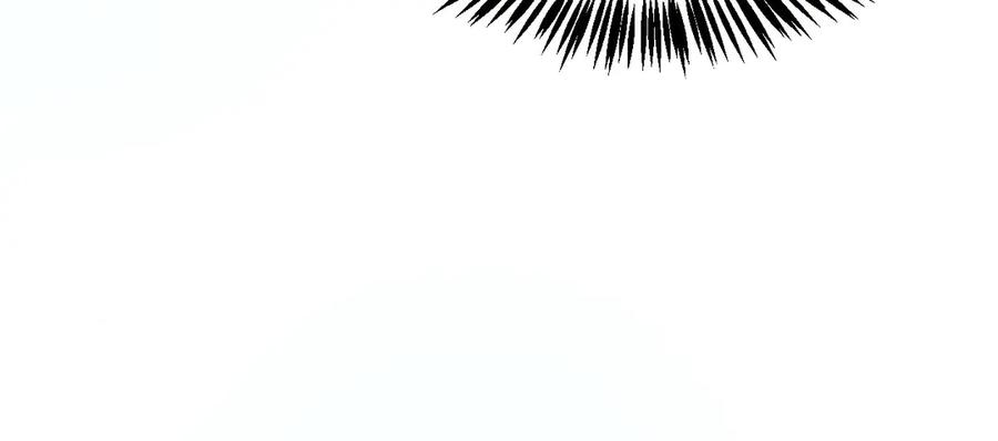 第255页