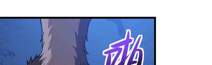 第243页