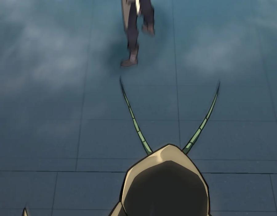第207页