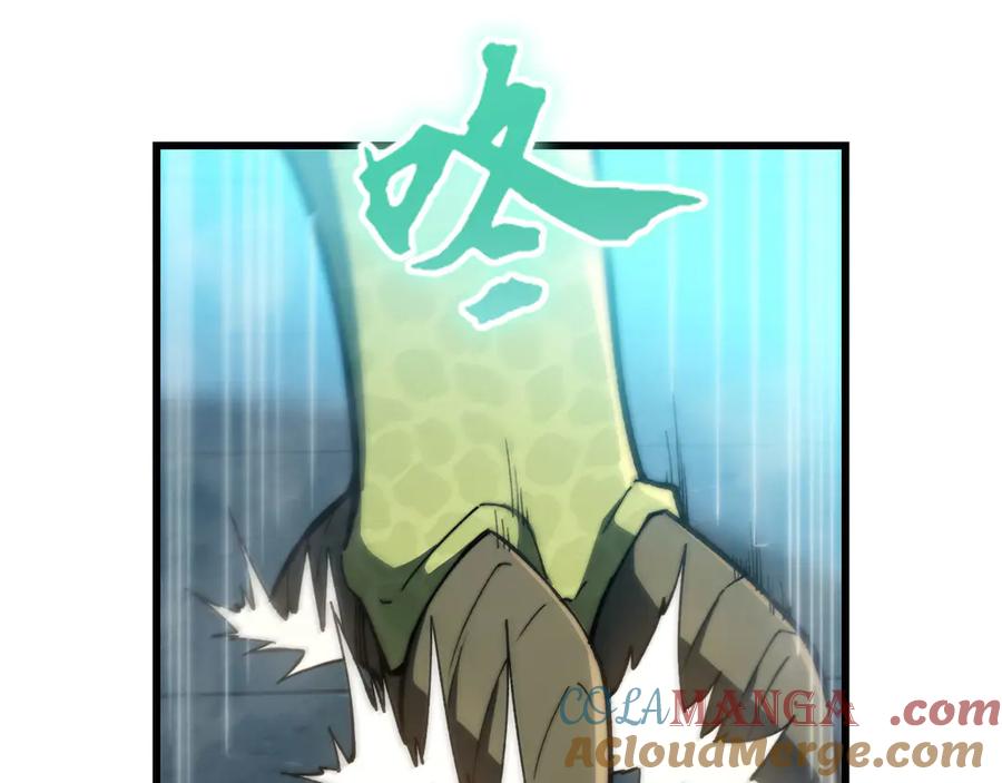 第217页