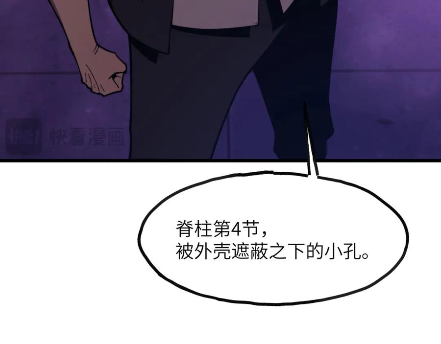第243页