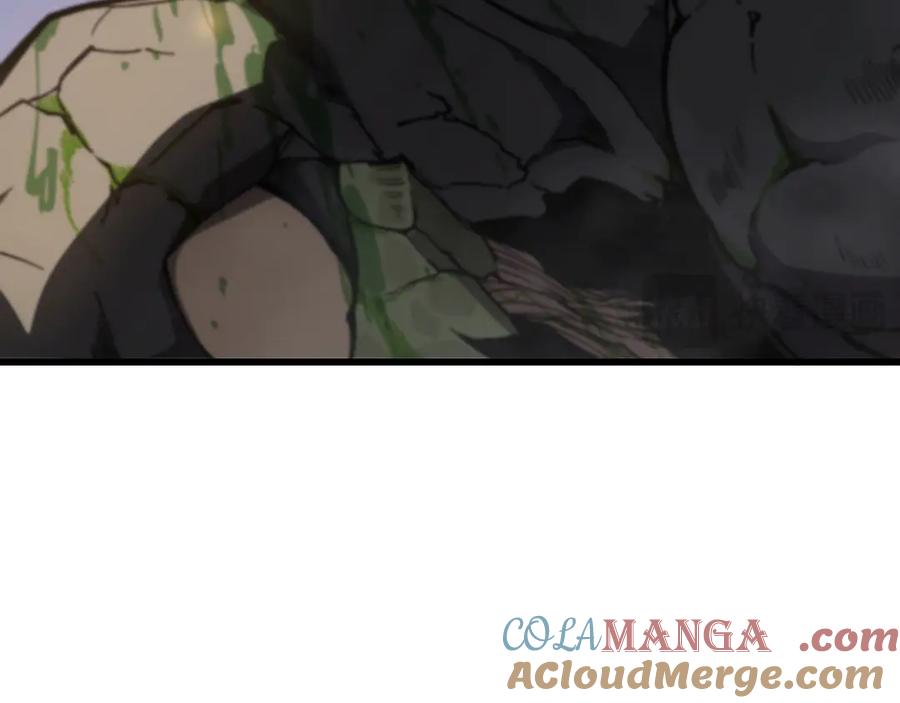 第213页