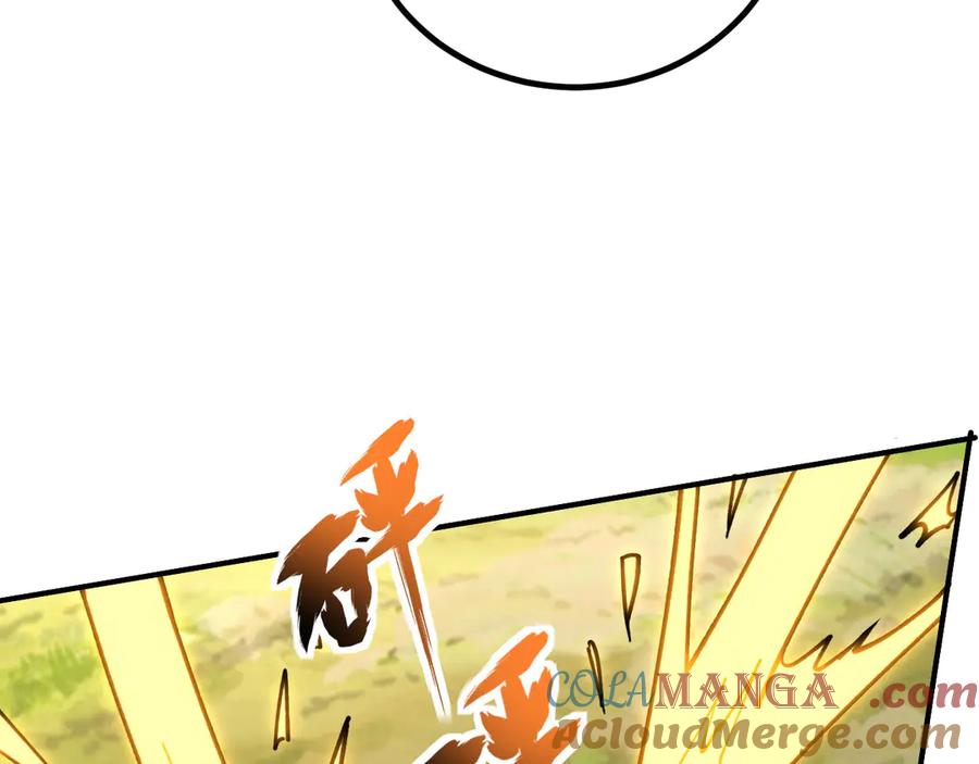 第209页
