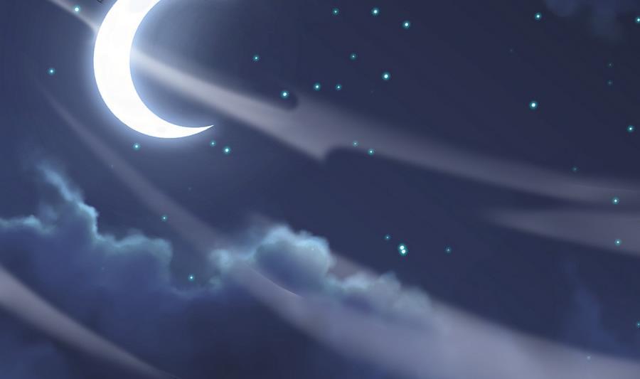 第59页