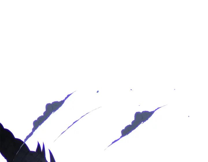 第240页