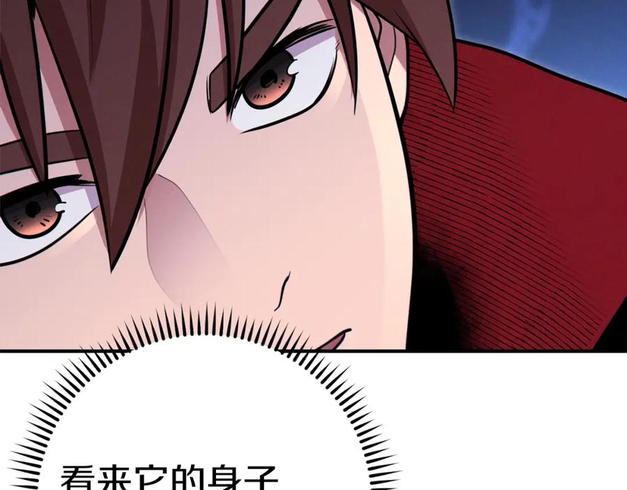 第215页