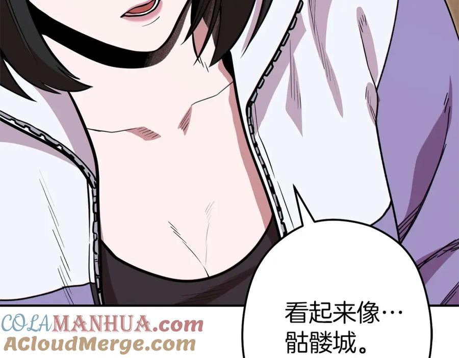 第213页