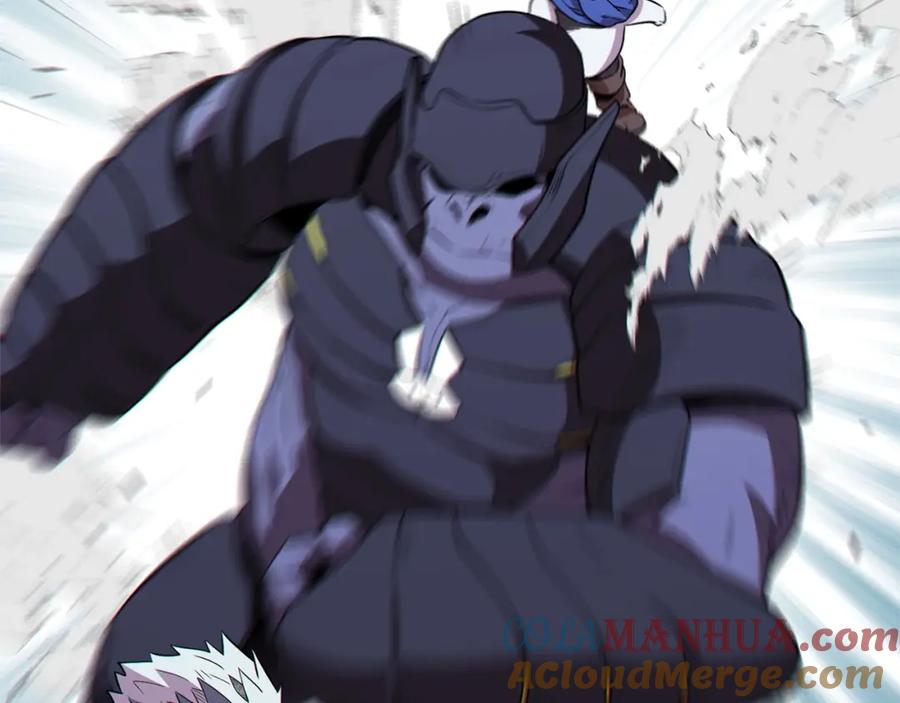 第205页