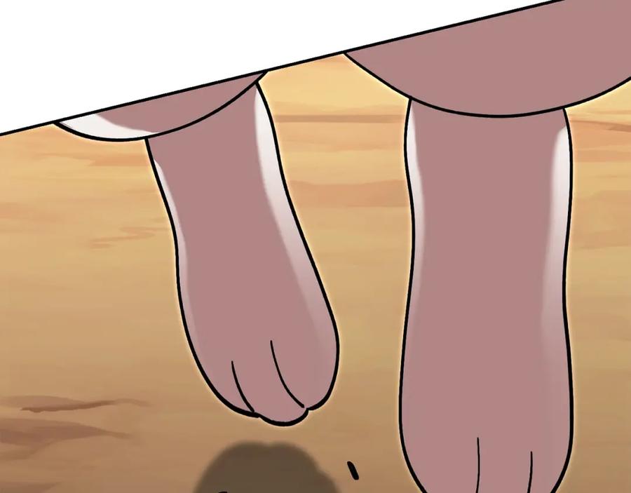 第224页
