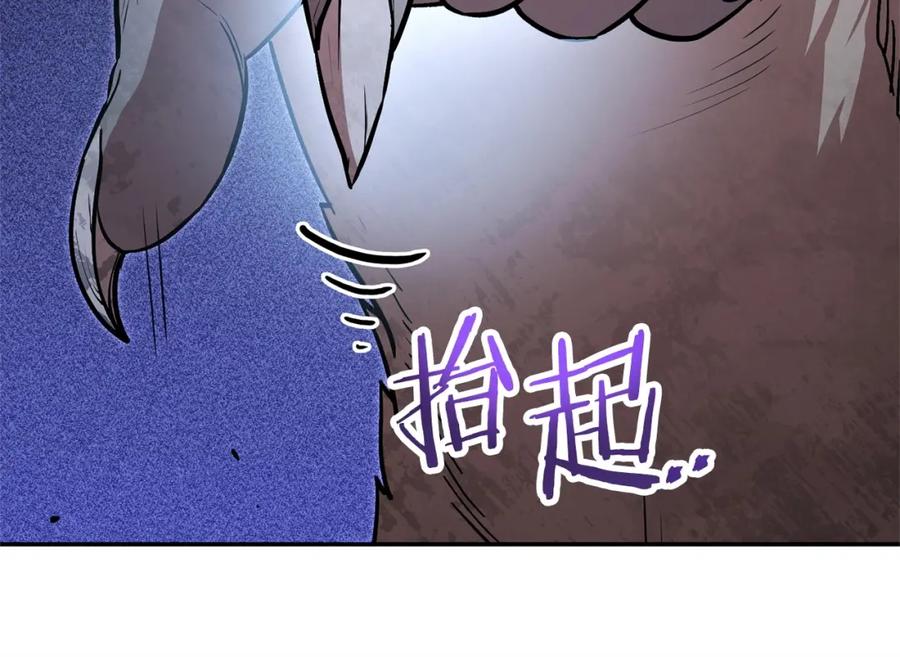 第214页