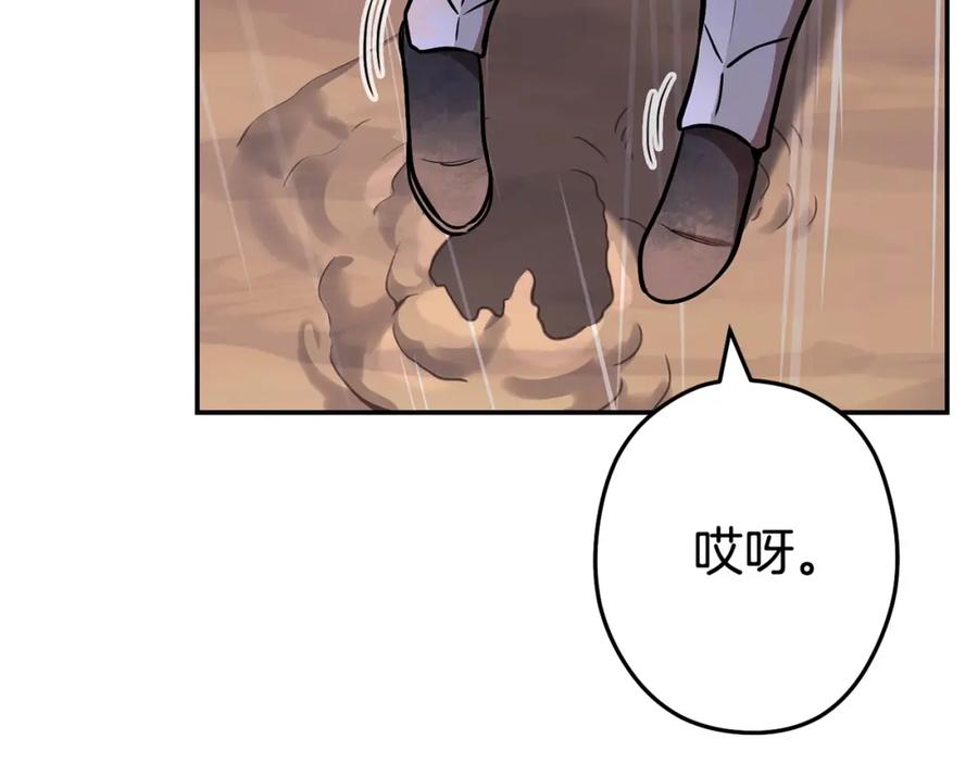 第223页