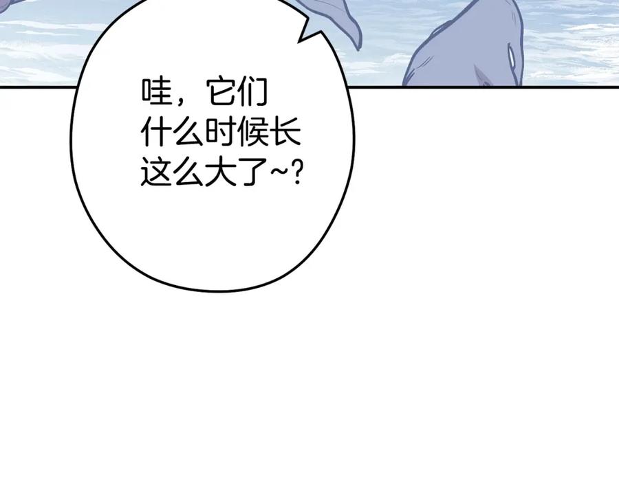 第202页
