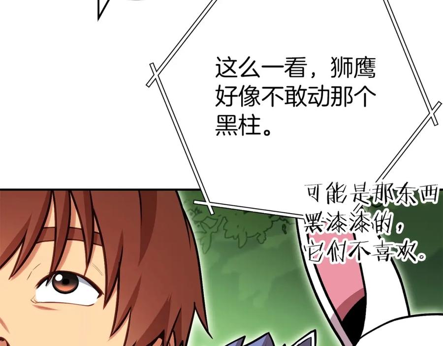 第215页