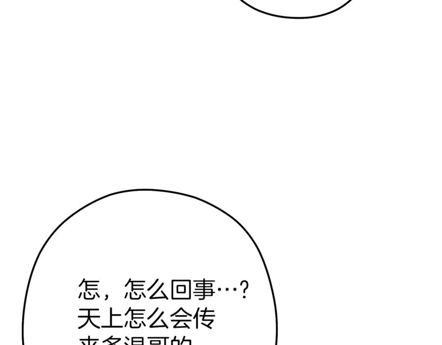 第215页