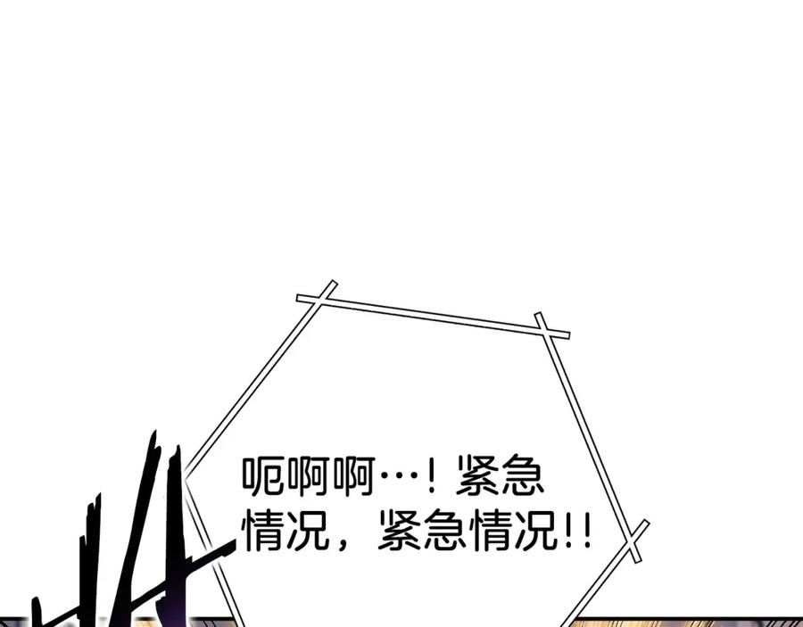 第247页