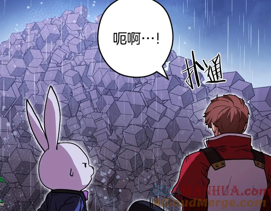 第221页