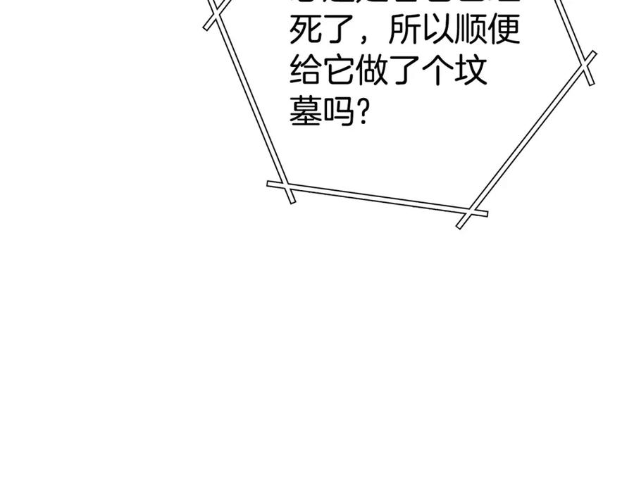 第223页