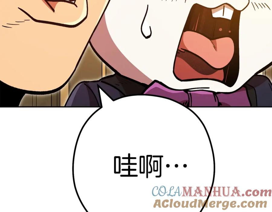 第205页