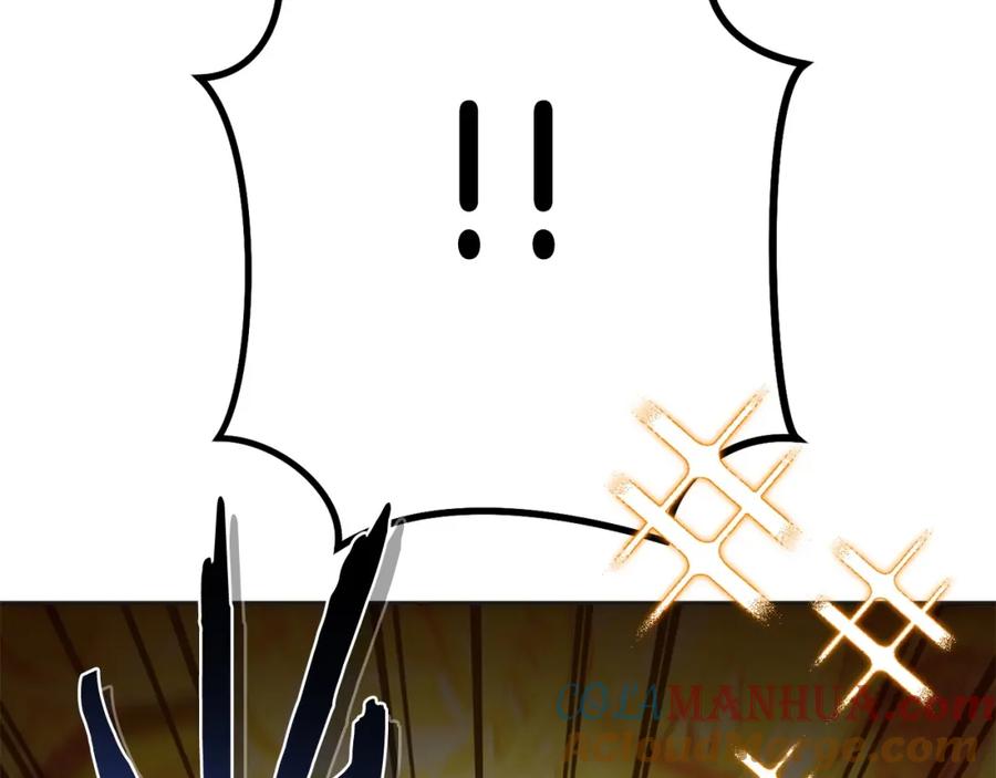 第241页