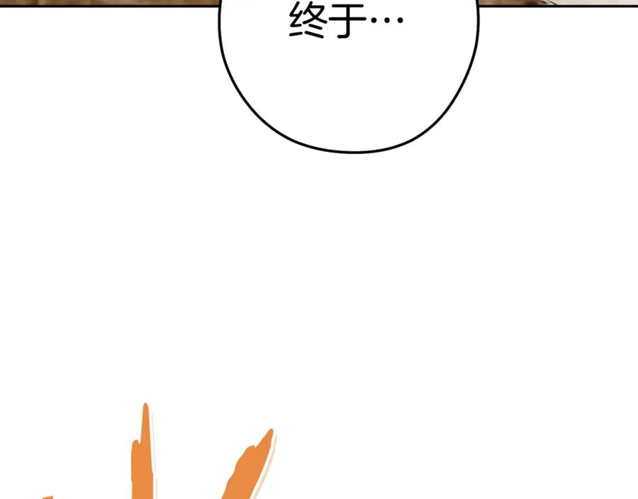 第223页
