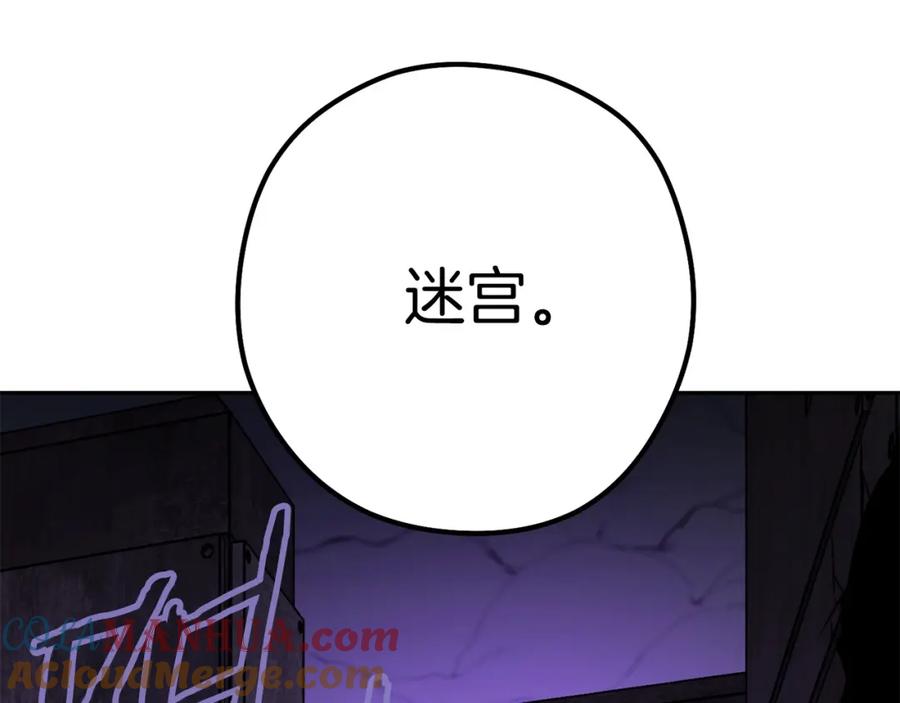 第245页