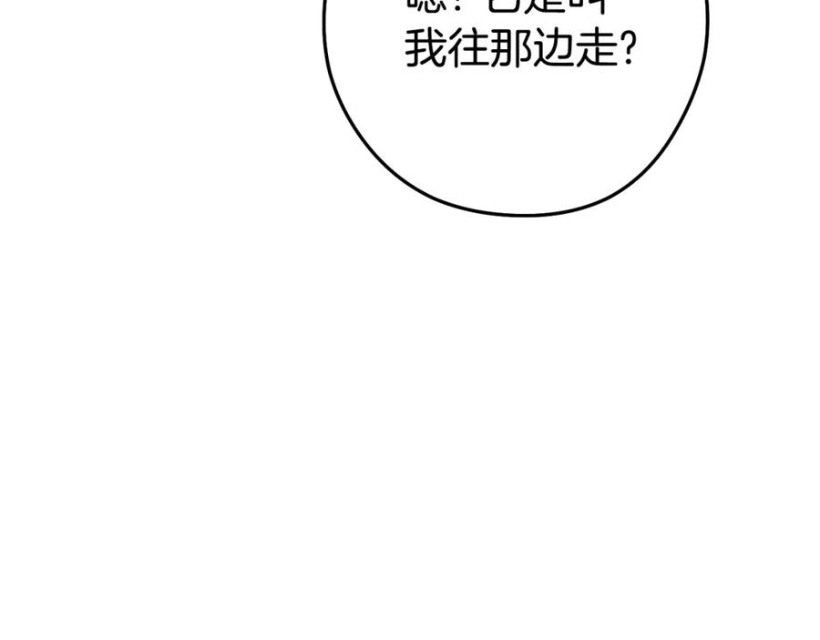 第251页