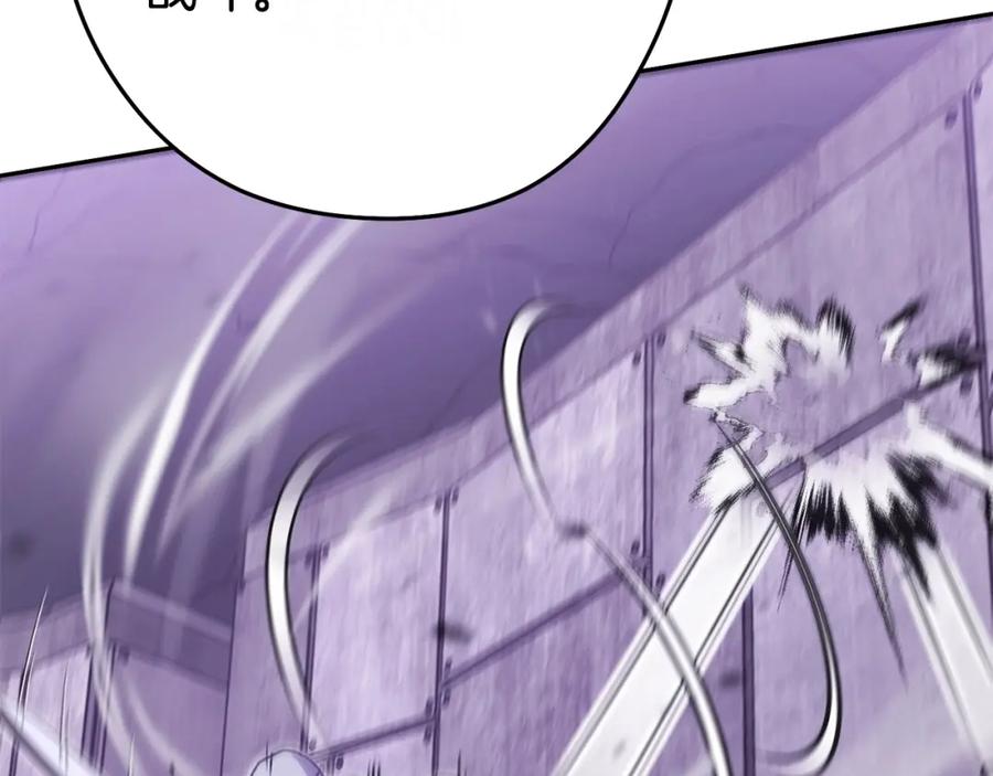 第239页