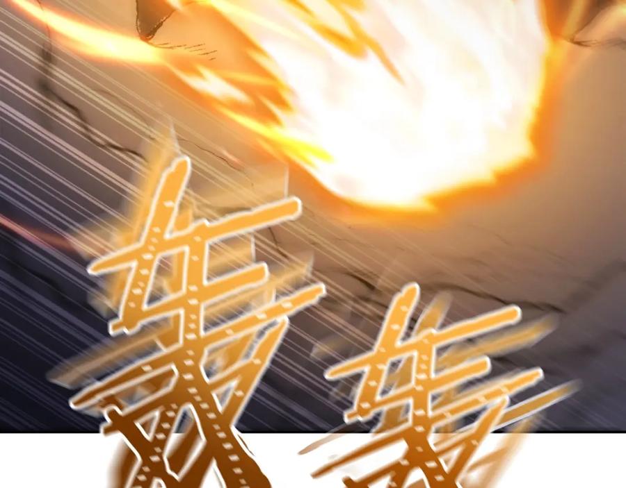 第231页