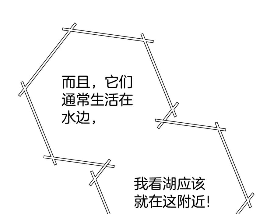 第224页