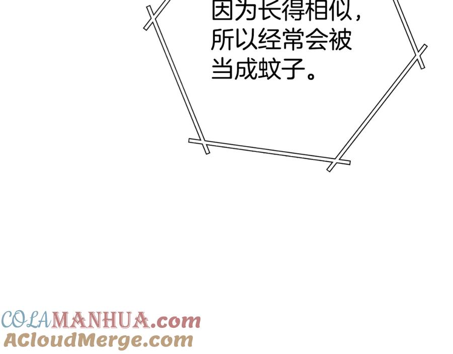 第237页
