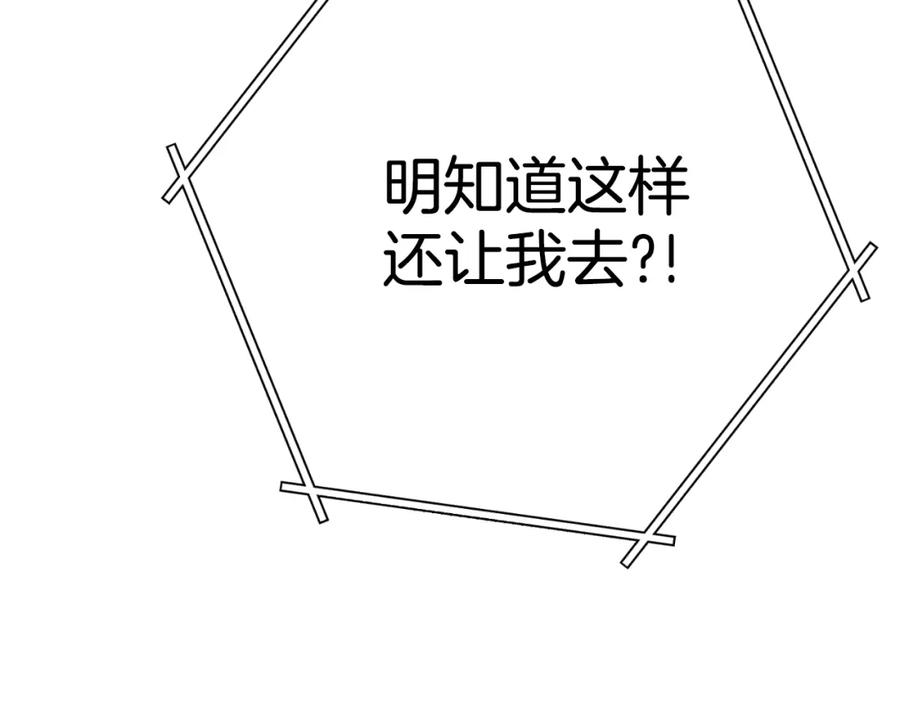 第223页
