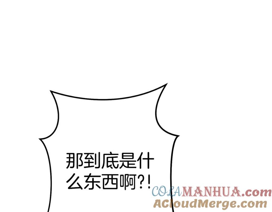 第221页