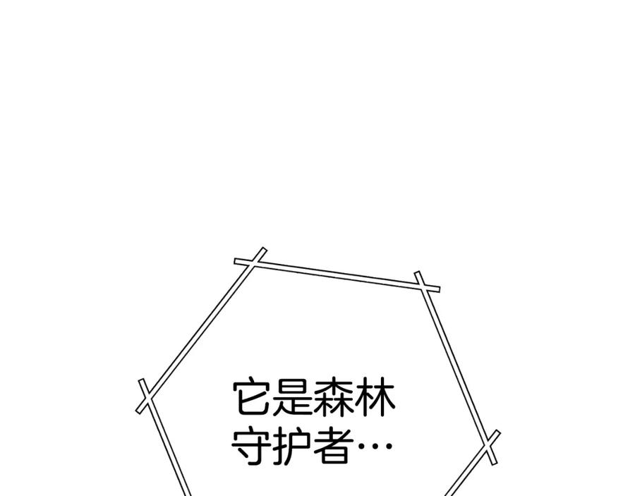 第224页