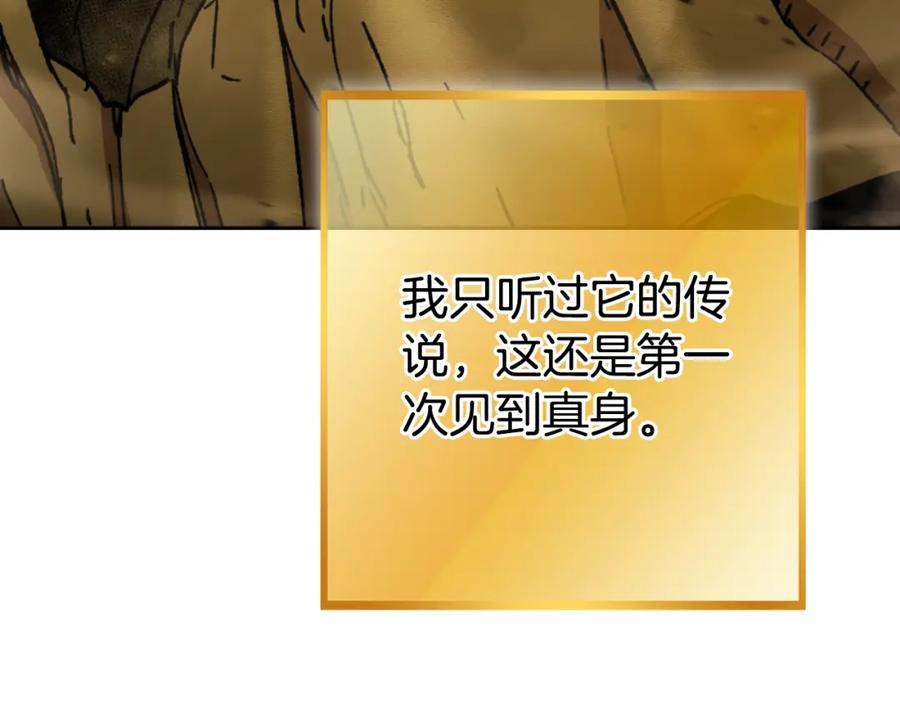 第236页