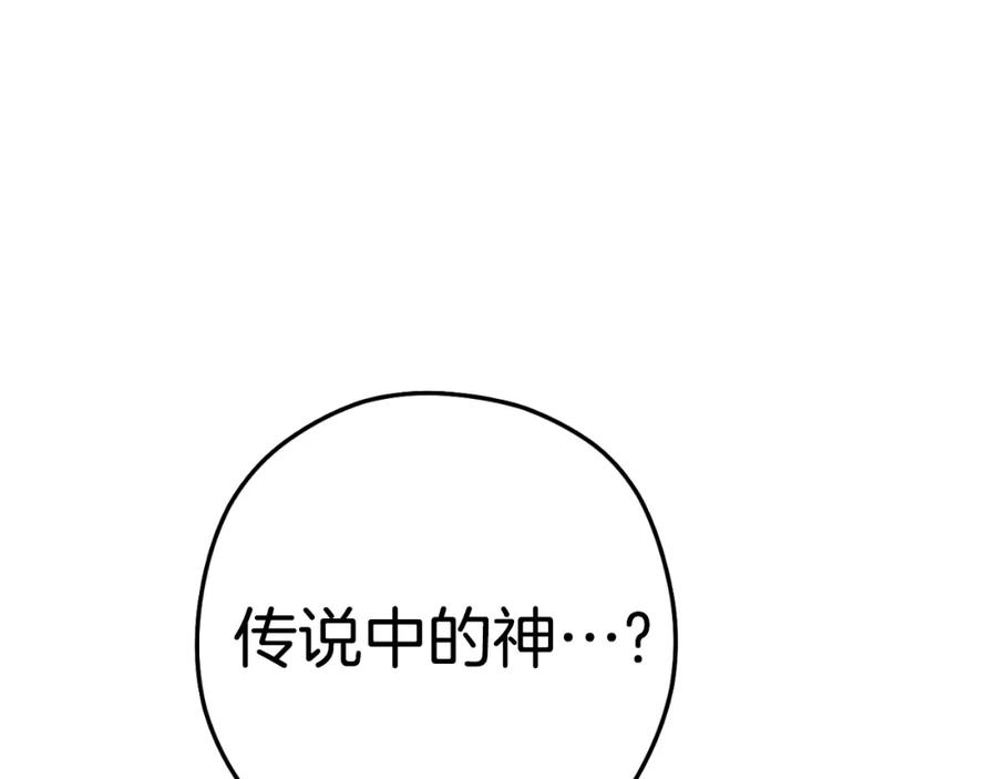 第238页