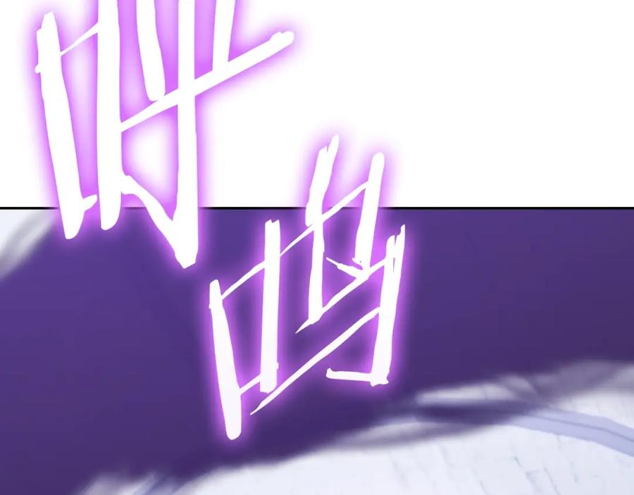 第223页