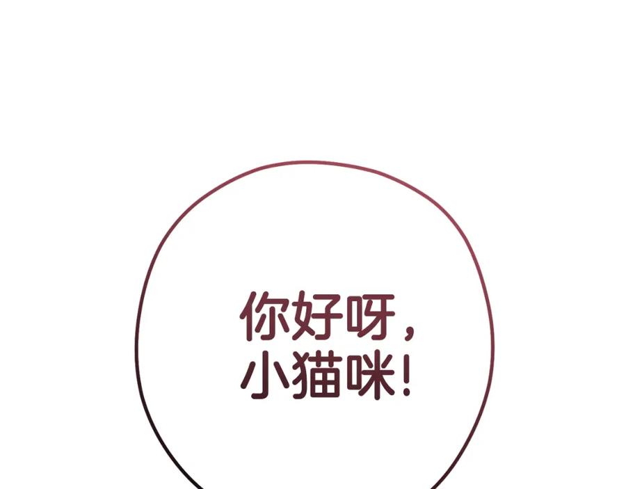 第247页