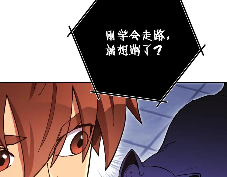 第207页