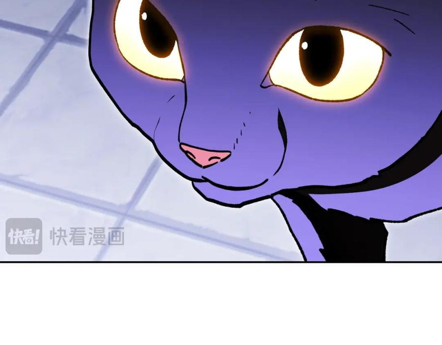 第215页