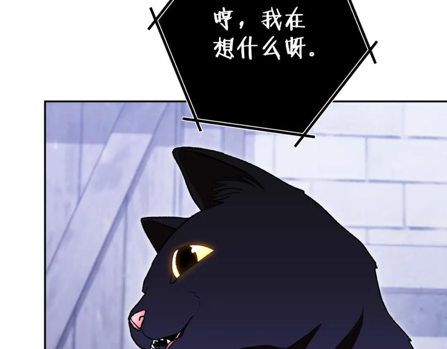 第223页