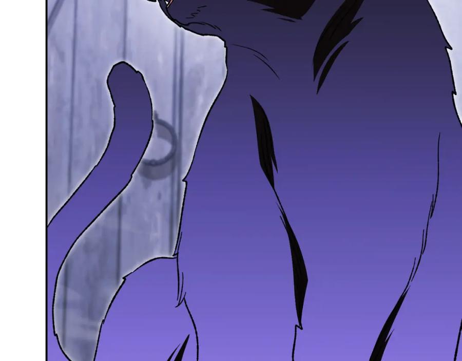 第224页