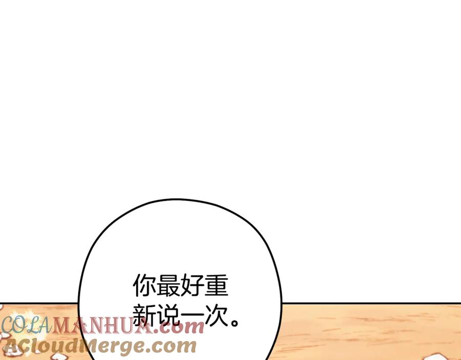 第221页