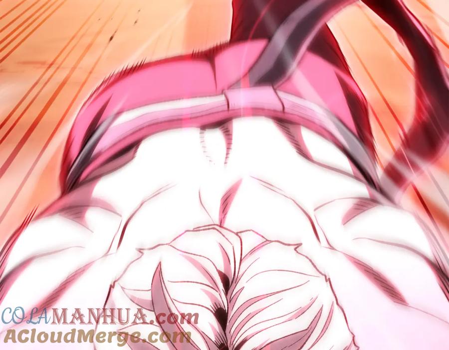 第233页