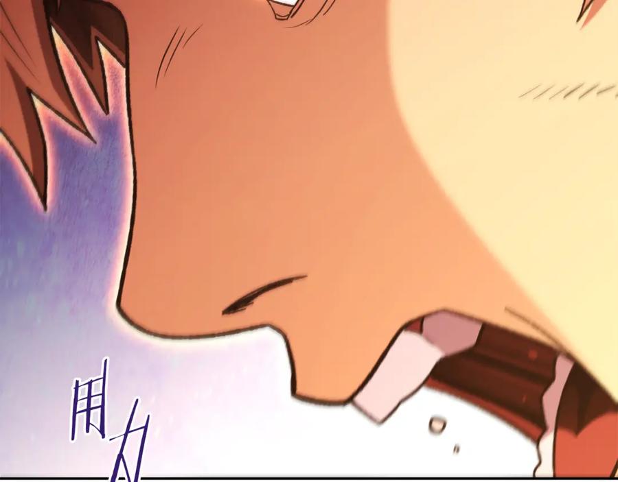 第242页