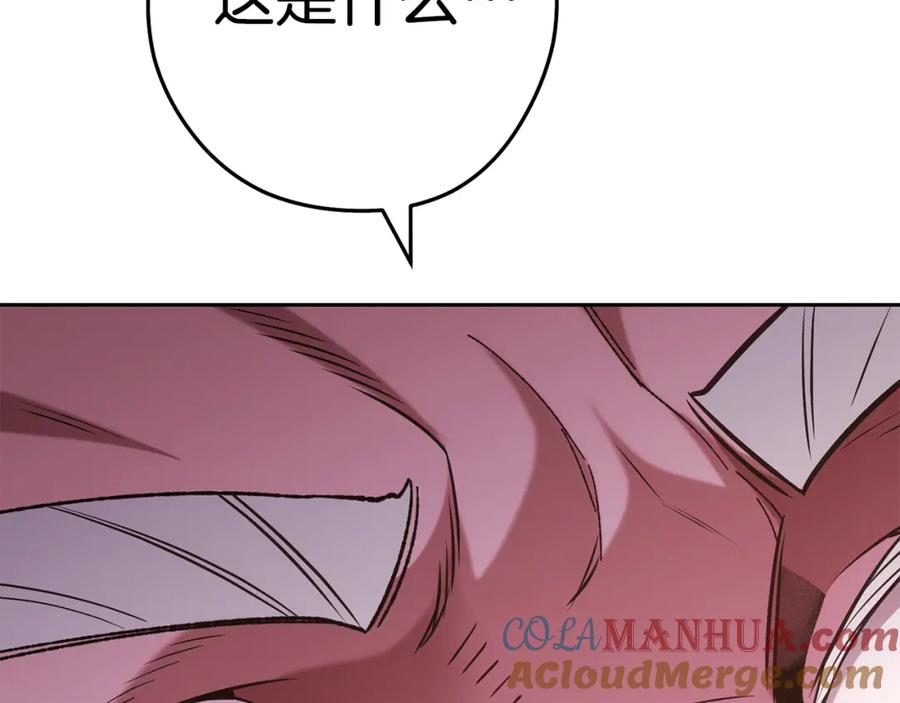 第253页