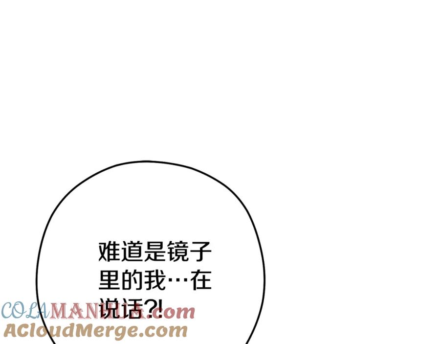 第233页