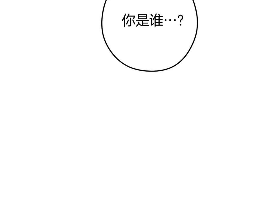 第236页